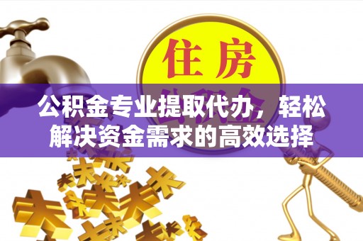 圣方济各堂区公积金专业提取代办，轻松解决资金需求的高效选择