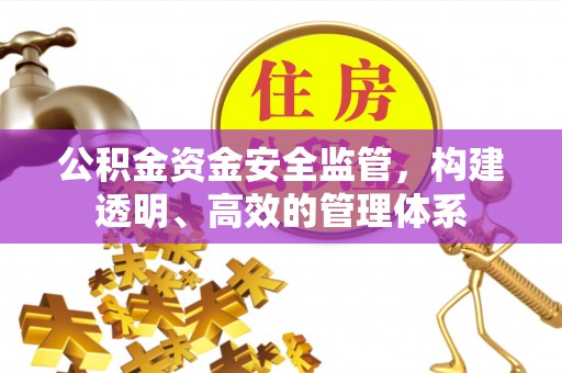 圣方济各堂区公积金资金安全监管，构建透明、高效的管理体系