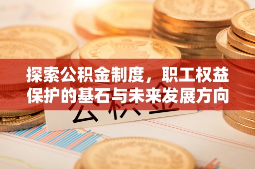 圣方济各堂区探索公积金制度，职工权益保护的基石与未来发展方向