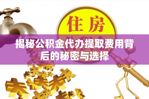 圣方济各堂区揭秘公积金代办提取费用背后的秘密与选择