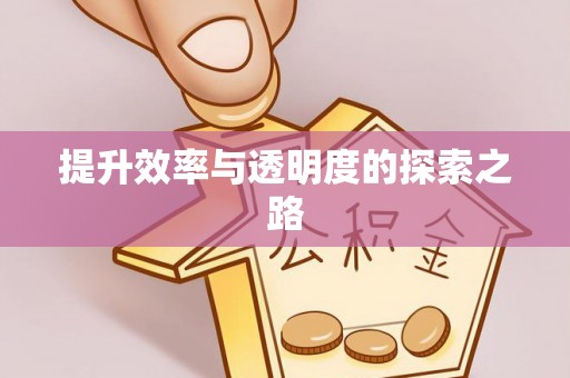 圣方济各堂区提升效率与透明度的探索之路